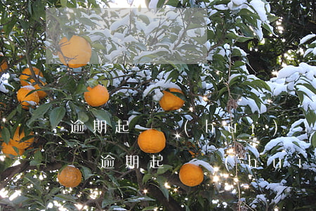 逾期起訴會(huì)實(shí)地走訪嗎（逾期起訴會(huì)實(shí)地走訪嗎）