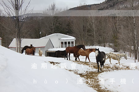 逾期起訴會(huì)用手機(jī)號(hào)通知嗎 手機(jī)號(hào)碼發(fā)的起訴通知