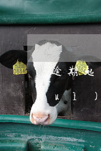 逾期起訴會(huì)被拘留嗎(逾期會(huì)不會(huì)被拘留)