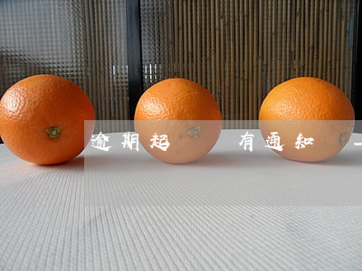 逾期起訴會有通知嗎-逾期起訴了會怎么樣