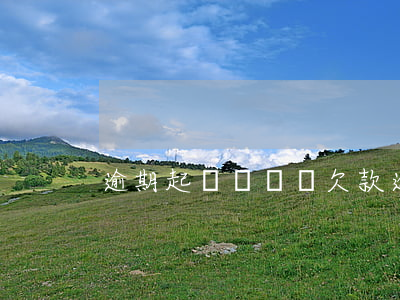 逾期起訴沒錢還(欠款逾期沒錢還怎么辦)