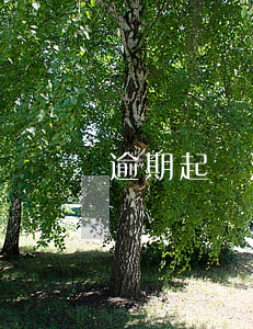逾期起訴法院怎么說-逾期被告怎么辦