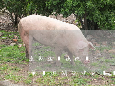 逾期起訴法院會(huì)調(diào)解嗎 逾期法院起訴會(huì)怎么樣