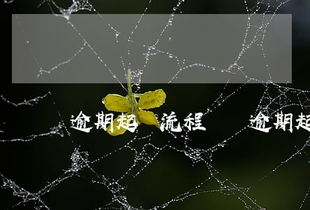 逾期起訴流程時間(逾期起訴需要多久)
