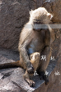 逾期起訴為什么在外地法院起訴(逾期起訴是在本地嗎)