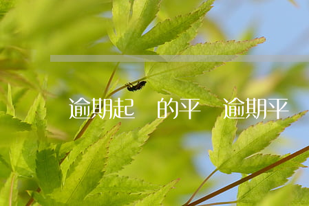 逾期起訴的平臺(逾期平臺說遞交法院了)