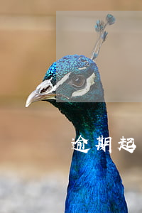 逾期起訴的條件-逾期多長時間可以起訴