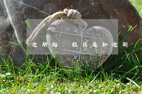逾期起訴短信通知(逾期訴訟通知)