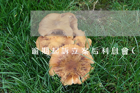 逾期起訴立案后利息會(huì)增加嗎