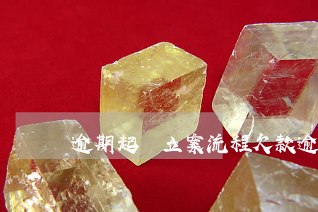 逾期起訴立案流程(欠款逾期被起訴流程)