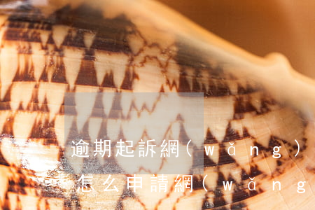 逾期起訴網(wǎng)上開庭怎么辦(被告怎么申請網(wǎng)上開庭)