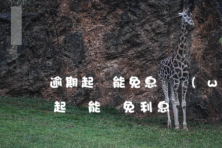 逾期起訴能免息嗎(網(wǎng)貸逾期被起訴能減免利息嗎)