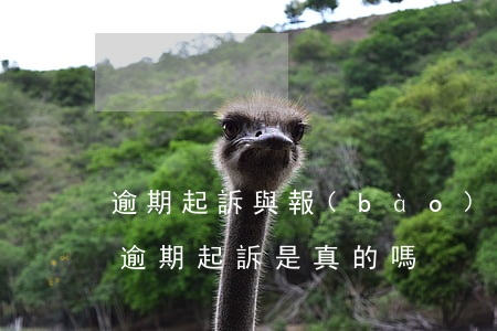 逾期起訴與報(bào)案啥區(qū)別(逾期起訴是真的嗎)