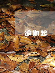 逾期起訴處理方法(逾期被起訴怎么辦)