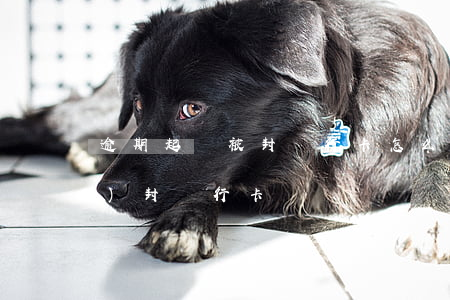 逾期起訴被封銀行卡怎么辦(逾期會(huì)封銀行卡嗎)