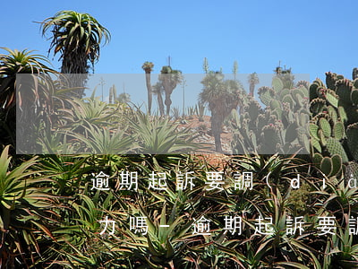 逾期起訴要調(diào)查親屬的償還能力嗎-逾期起訴要調(diào)查親屬的償還能力嗎知乎