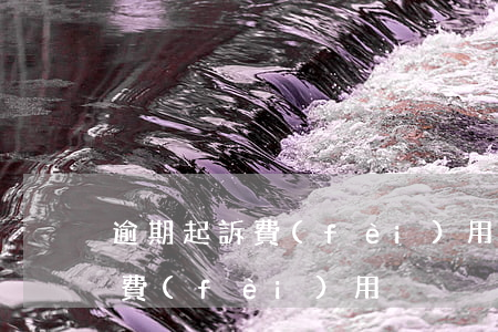 逾期起訴費(fèi)用誰出（逾期房屋起訴費(fèi)用）