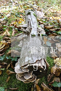 逾期起訴農(nóng)行(起訴農(nóng)商銀行)