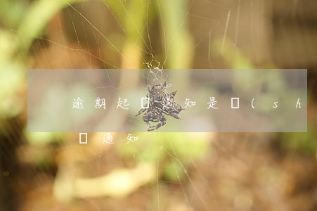 逾期起訴通知是誰(shuí)告知(逾期訴訟通知)