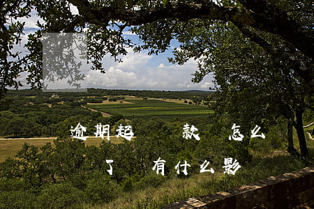 逾期起訴還款會怎么樣(貸款逾期被起訴后歸還了還有什么影響嗎?)