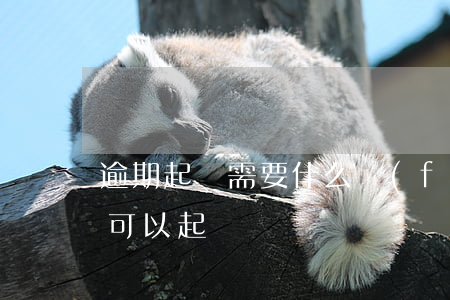 逾期起訴需要什么費(fèi)用(逾期多少可以起訴)