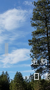 逾期起訴需要付哪些費(fèi)用(逾期起訴需要付哪些費(fèi)用)