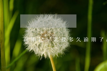 逾期起訴需要多久（逾期了起訴流程）