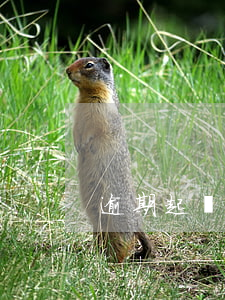逾期起訴需要簽字嗎-逾期起訴需要簽字嗎