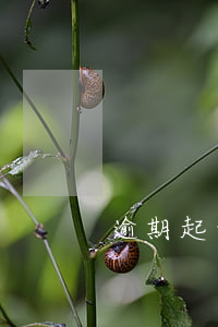 逾期起诉不肯撤诉-撤诉和不起诉