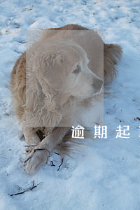 逾期起诉信息图片-欠款逾期图片