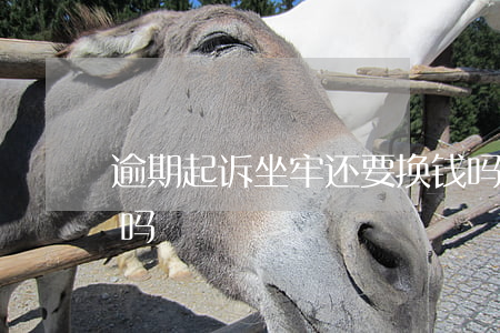 逾期起诉坐牢还要换钱吗(逾期被起诉要坐牢吗)