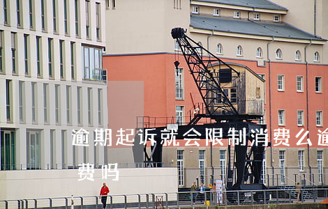 逾期起诉就会限制消费么(逾期会被限制高消费吗)