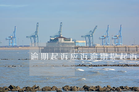 逾期起诉应诉 逾期提起诉讼