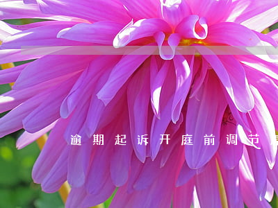 逾期起诉开庭前调节 原告推迟开庭时间