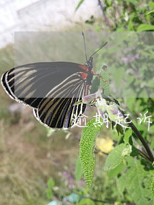 逾期起诉没钱还(欠款逾期没钱还怎么办)