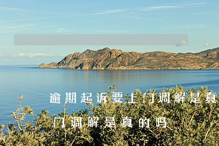 逾期起诉要上门调解是真的吗(逾期起诉要上门调解是真的吗)