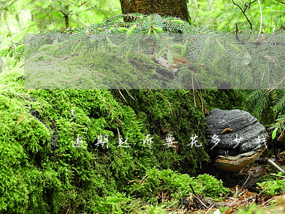 逾期起诉要花多少钱