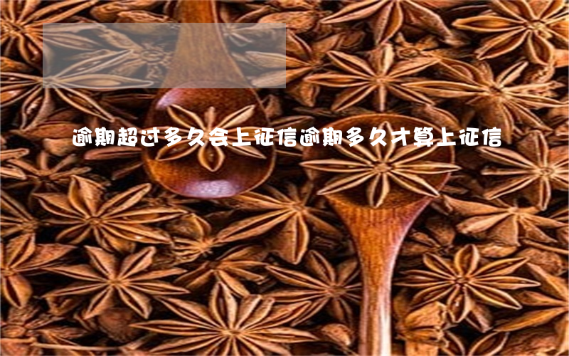 逾期超过多久会上征信(逾期多久才算上征信)