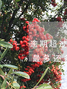 逾期超过多少次不能贷款(国家规定贷款逾期最多还多少)