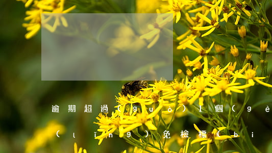逾期超過(guò)1個(gè)月可以領(lǐng)免檢標(biāo)志嗎-逾期一個(gè)月領(lǐng)取免檢標(biāo)志會(huì)罰款嗎