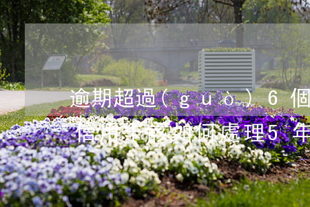 逾期超過(guò)6個(gè)月以上的信用卡,該如何處理?（5年內(nèi)6個(gè)月信用卡處于逾期）
