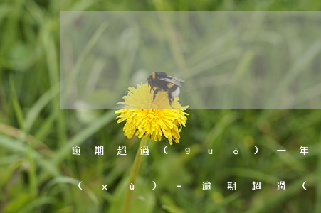 逾期超過(guò)一年換證需要哪些手續(xù)-逾期超過(guò)一年換證需要哪些手續(xù)和證件