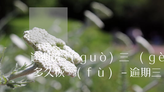 逾期超過(guò)三個(gè)月信用度多久恢復(fù)-逾期三個(gè)月征信多久恢復(fù)