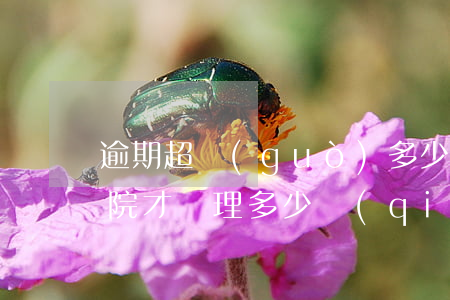 逾期超過(guò)多少錢(qián)法院才審理(多少錢(qián)逾期才會(huì)被起訴)