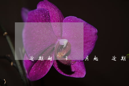 逾期超過3個月起訴(逾期3天會被起訴嗎)