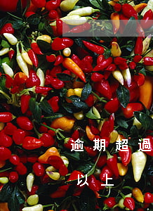 逾期超過90天的貸款(貸款利息逾期90天以上)