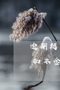 逾期超過90天還款(逾期超過90天還款先扣本金)