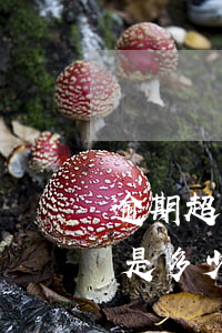 逾期超過90天,銀行貸款和不良貸款的比例是多少，探究逾期超過90天的貸款：銀行貸款與不良貸款比例是多
