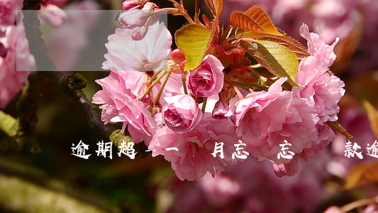 逾期超過一個月忘記(忘記還款逾期一個月)