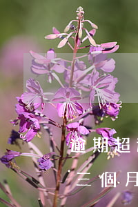 逾期超過三個月還進去是本金嗎-逾期超過三個月還進去是本金嗎怎么算